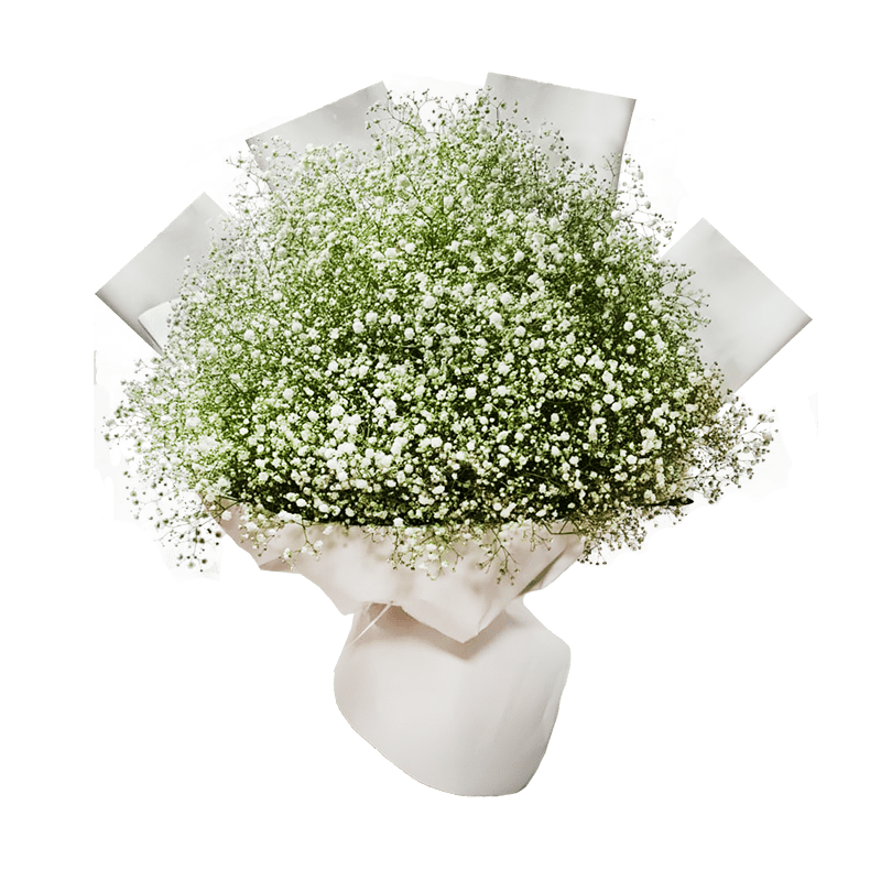 White Gypsum wreath